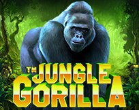 Jungle Gorilla